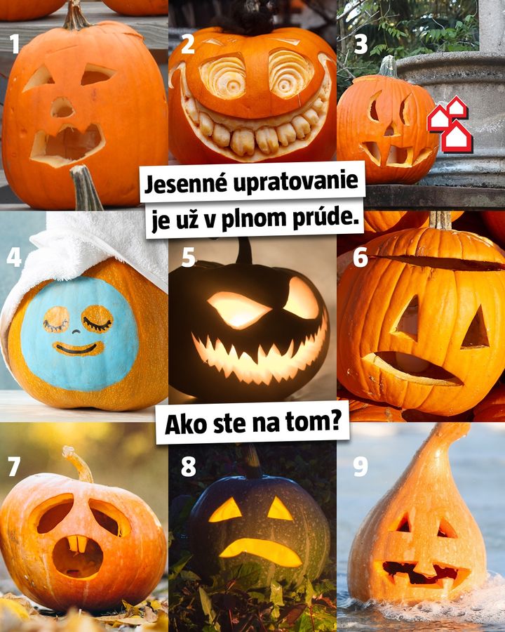 Zazimovať rastlinky, pripraviť trávnik, upratať záhradný domček