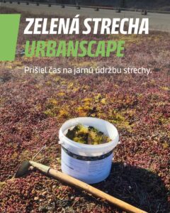 Zelená strecha potrebuje po zime kontrolu a údržbu, aby správne fungovala počas celej sezóny