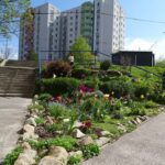 KARLOVA VES OPÄŤ ODMENÍ NAJKRAJŠIE PREDZÁHRADKY 👩‍🌾🎋🌷