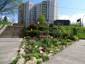 KARLOVA VES OPÄŤ ODMENÍ NAJKRAJŠIE PREDZÁHRADKY 👩‍🌾🎋🌷