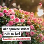 Photos from Bauhaus SK’s post