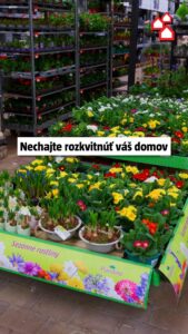 Nechajte rozkvitnúť váš domov