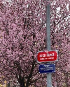 Přemýšleli jste někdy nad pojmenováním ulic na Kaskádách Barrandov 🧐?