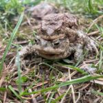 Photos from Český svaz ochránců přírody’s post