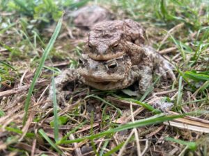 Photos from Český svaz ochránců přírody’s post