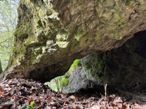 Photos from CHKO Malé Karpaty’s post